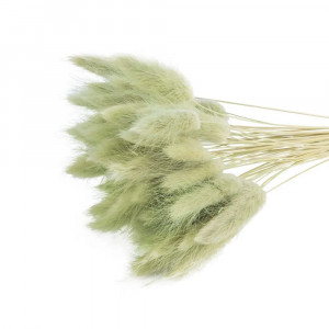 Spikelets are decorative 50 pcs