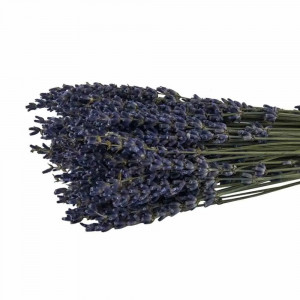 Dried lavender Dried lavender
