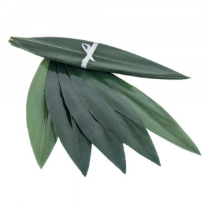 Bamboo leaves Bamboo leaves