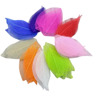 Скелетоване листя 50 шт