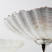 Бокал Shell Barta Бокал Shell Barta