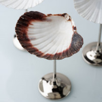 Бокал Shell Barta Бокал Shell Barta