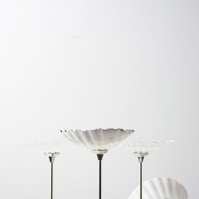 Бокал Shell Barta Бокал Shell Barta