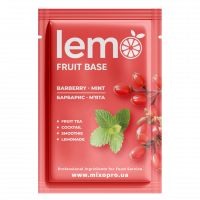 Концентрат Барбарис-Мята LEMO 45 г