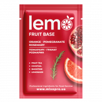 Концентрат Апельсин-Гранат-Розмарин LEMO 45 г