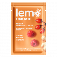 Концентрат Шипшина-Малина-Імбир LEMO 45 г