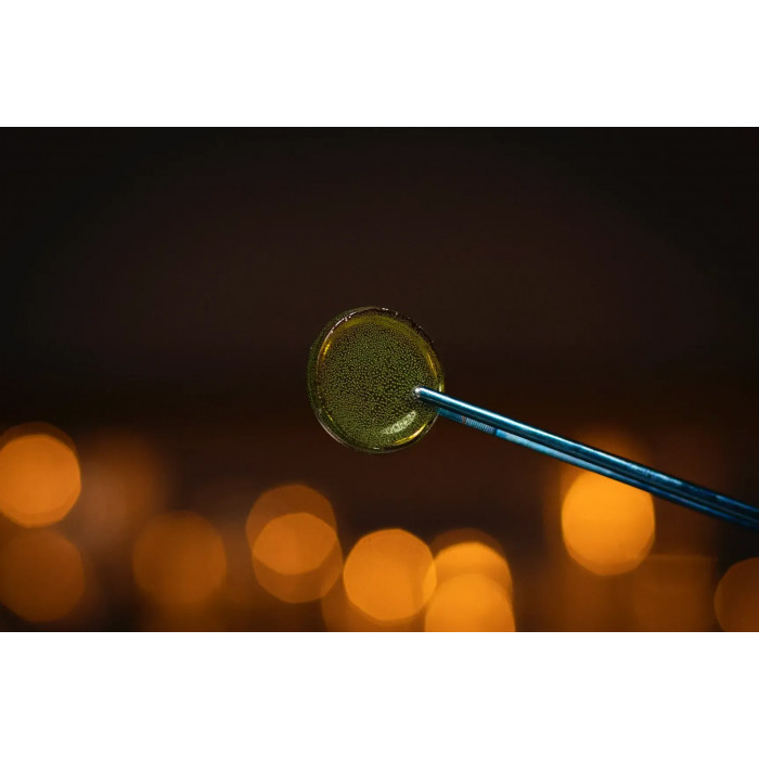 Ізомальт смаковий Зелене яблуко